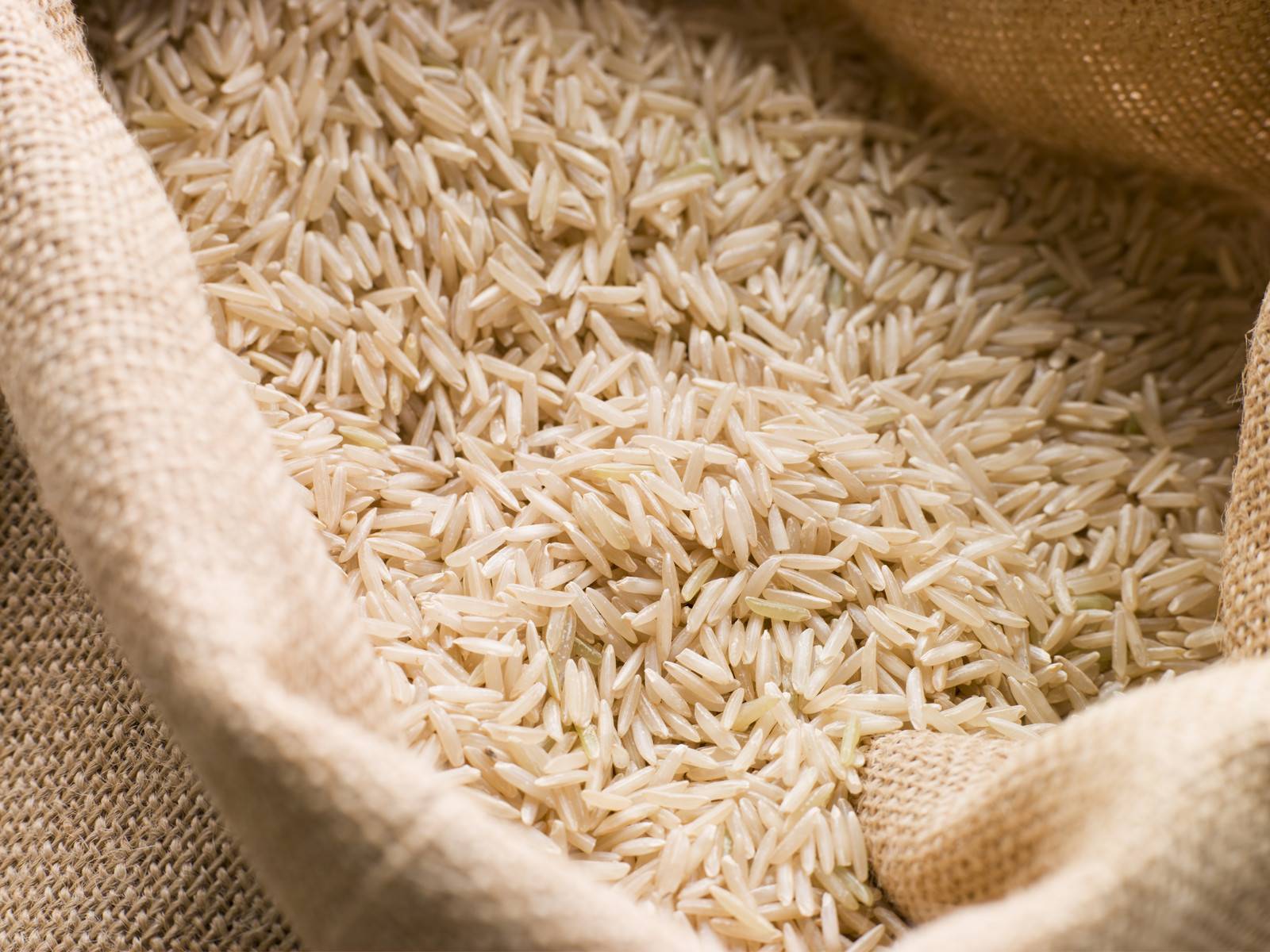 pakistan basmati rice exporters