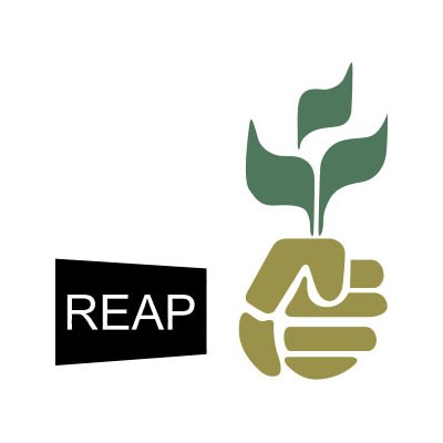 rice-exporters-association-of-pakistan-logo