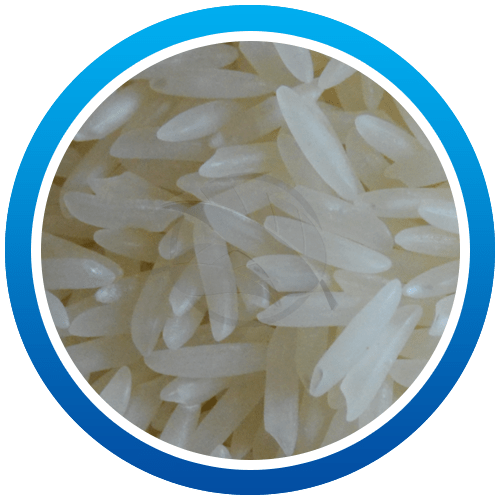 386 sella rice